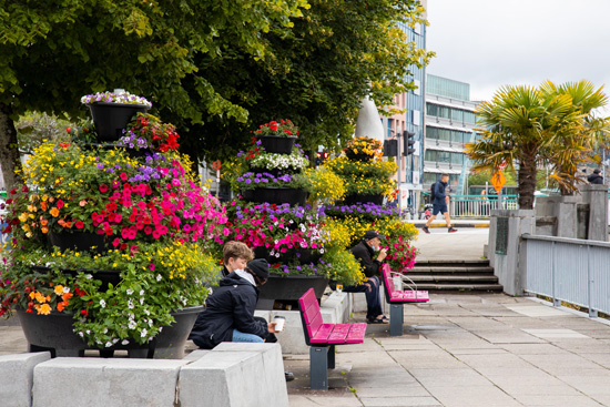 South mall planters
